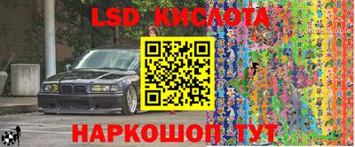 крисы Кинель