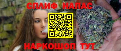 не бодяженный Кингисепп