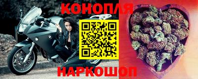 не бодяженный Кингисепп