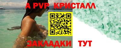 крисы Кинель