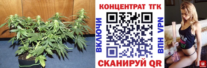 ТГК Wax  Краснотурьинск 