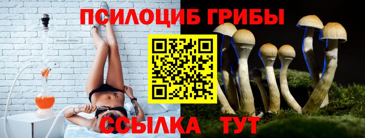 Краснотурьинск  Псилоцибиновые грибы Magic Shrooms  Вход с VPN 